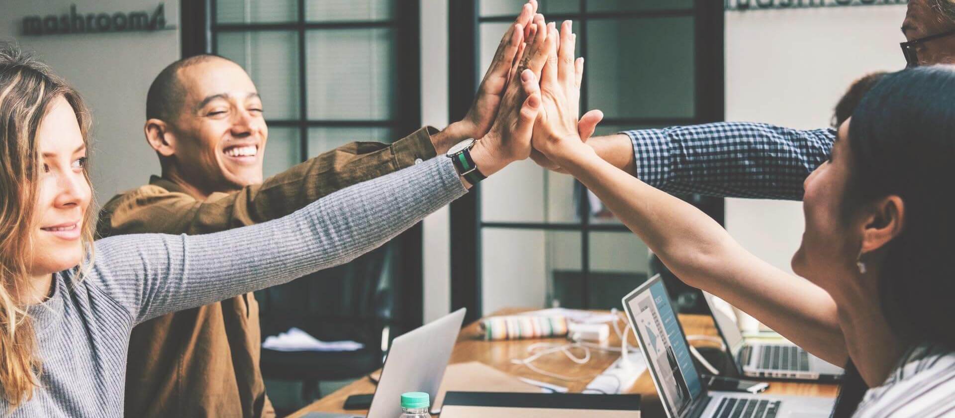 HerzHandVerstand Leistungen